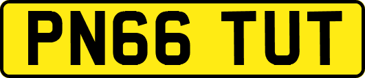 PN66TUT