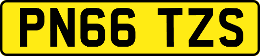 PN66TZS