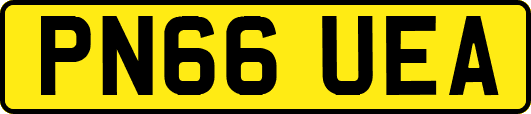 PN66UEA