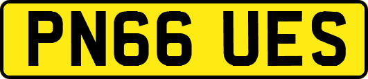 PN66UES