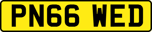 PN66WED