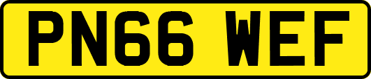 PN66WEF