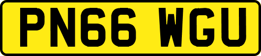 PN66WGU