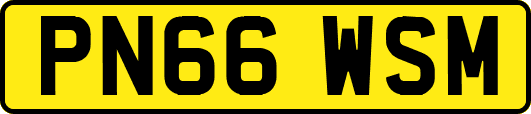 PN66WSM