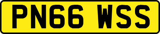 PN66WSS