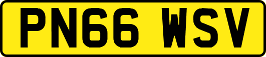 PN66WSV