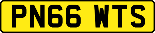 PN66WTS