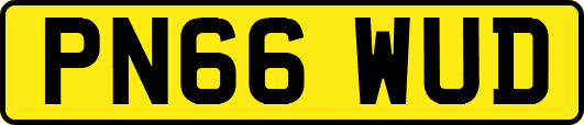 PN66WUD