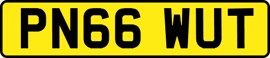 PN66WUT