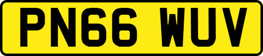 PN66WUV