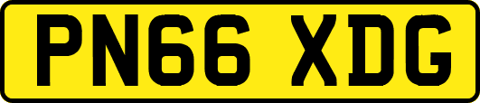 PN66XDG