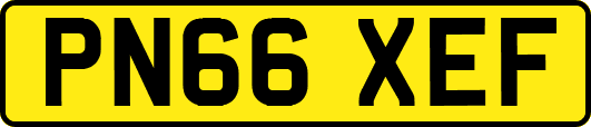 PN66XEF