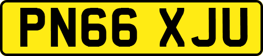 PN66XJU
