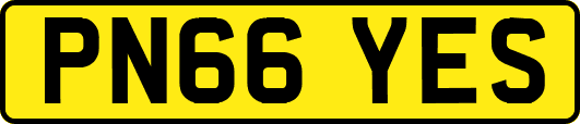 PN66YES