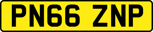PN66ZNP