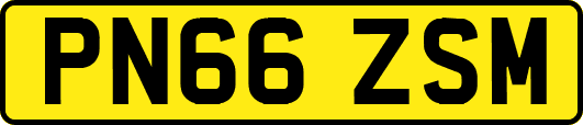 PN66ZSM