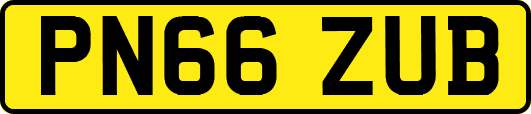 PN66ZUB