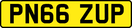 PN66ZUP