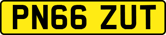 PN66ZUT