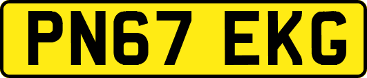 PN67EKG
