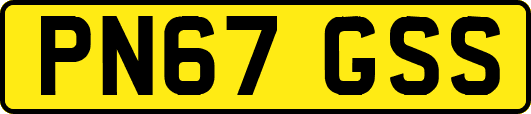 PN67GSS