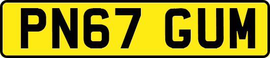 PN67GUM