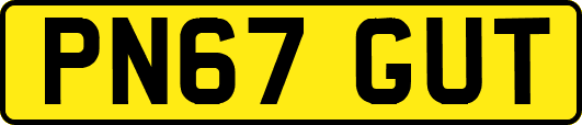 PN67GUT