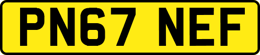 PN67NEF