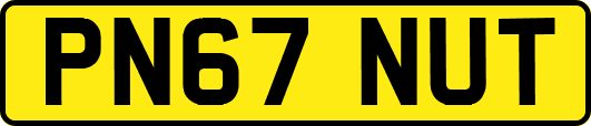 PN67NUT
