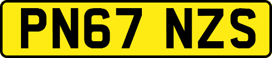 PN67NZS