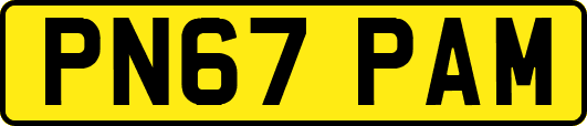 PN67PAM