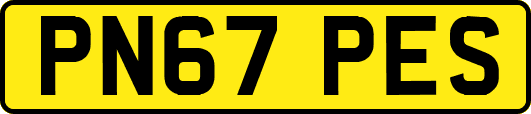 PN67PES