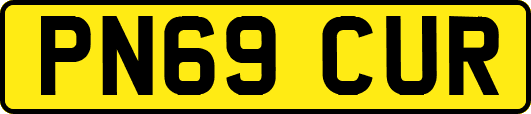 PN69CUR