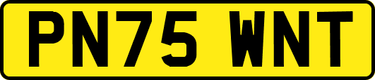 PN75WNT