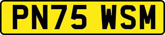 PN75WSM