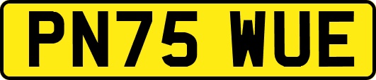 PN75WUE