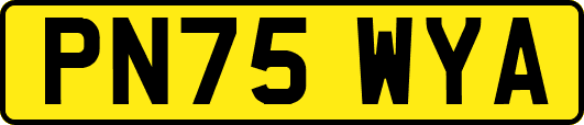 PN75WYA