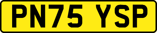 PN75YSP