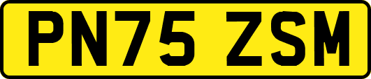 PN75ZSM