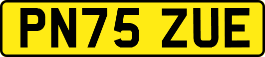 PN75ZUE