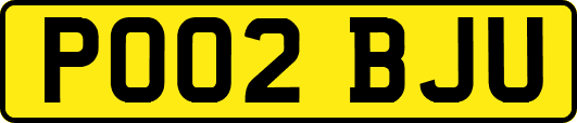 PO02BJU