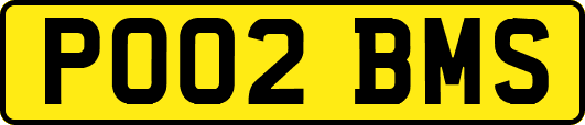 PO02BMS