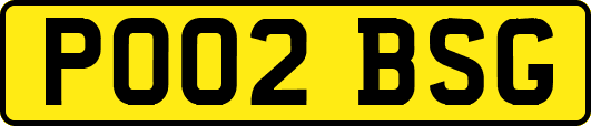 PO02BSG
