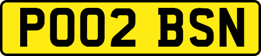 PO02BSN