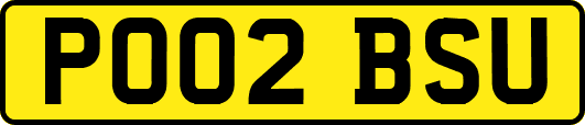 PO02BSU