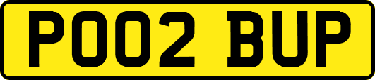 PO02BUP