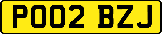 PO02BZJ
