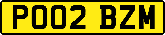 PO02BZM