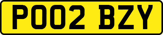 PO02BZY
