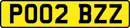 PO02BZZ